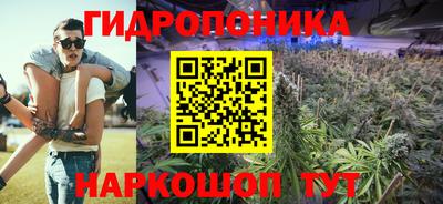 шишки Бузулук