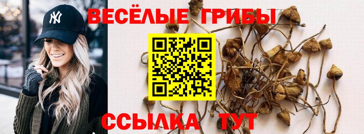 Краснознаменск  Галлюциногенные грибы MAGIC MUSHROOMS  Вход с VPN  Псилоцибиновые грибы Cubensis 